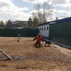 Практическое обучение студентов специальности Юриспруденция особенностям службы в правоохранительных органах