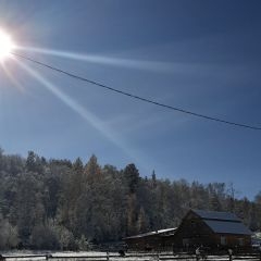 Давайте вместе поможем природе!!!